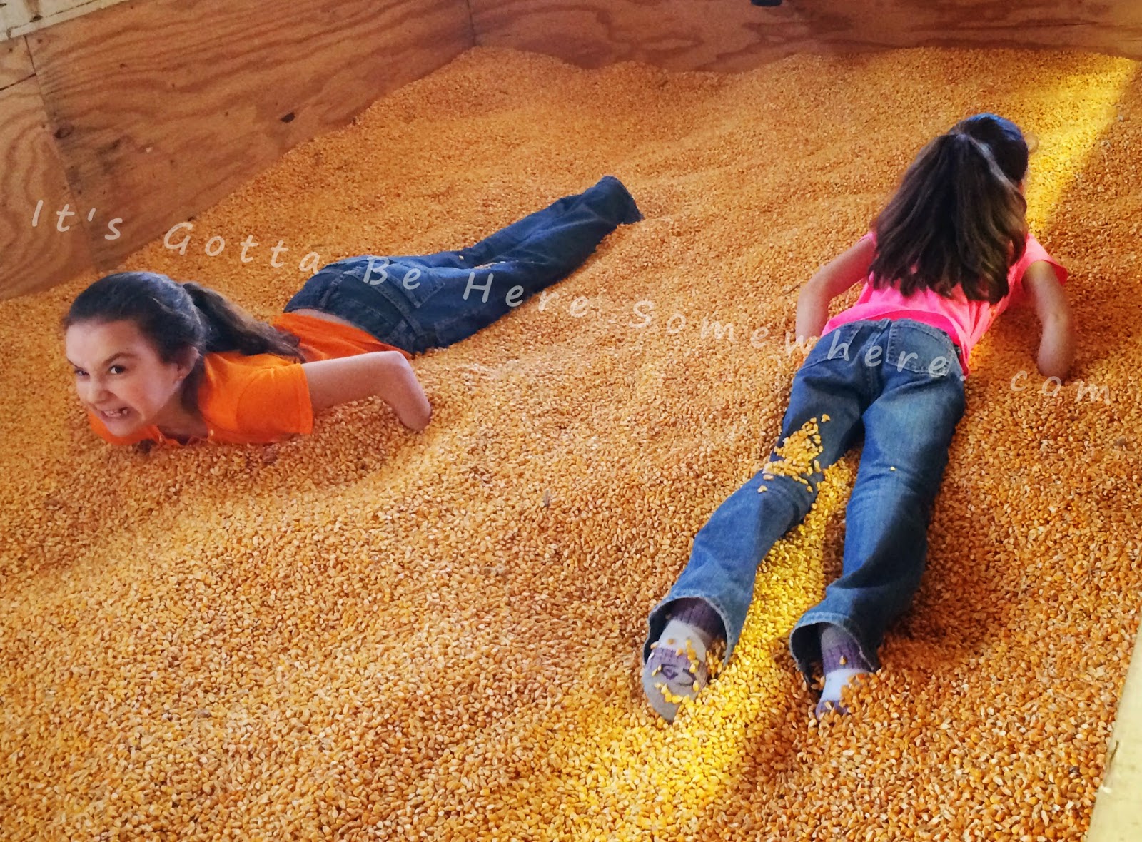 It's Gotta Be Here Somewhere Corn crib + kids = pure joy