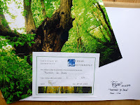 Limited Edition print, signed,with certificate of authenticity from Heenan Photography