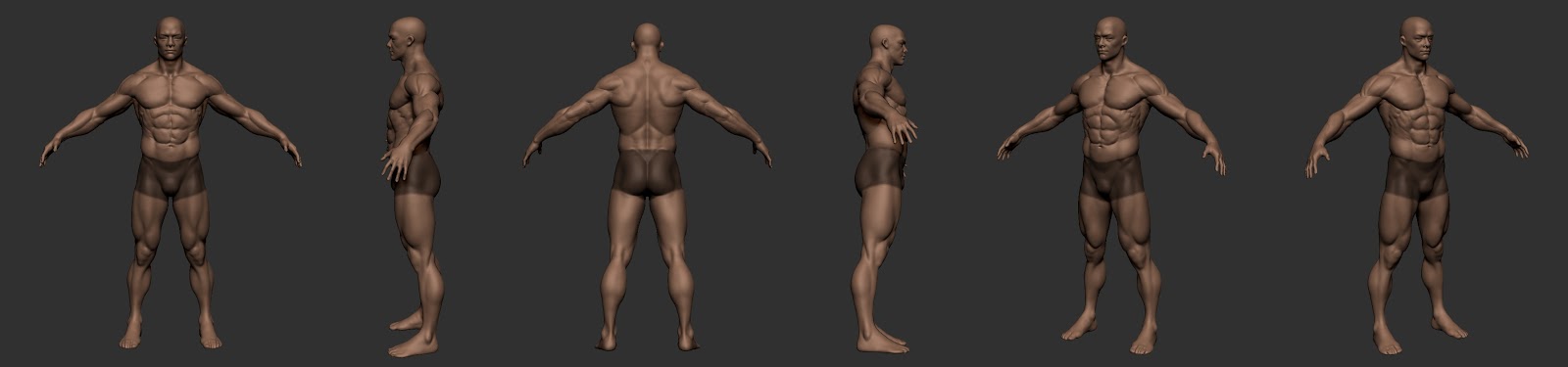 Grey+Anatomy+w.i.p.jpg