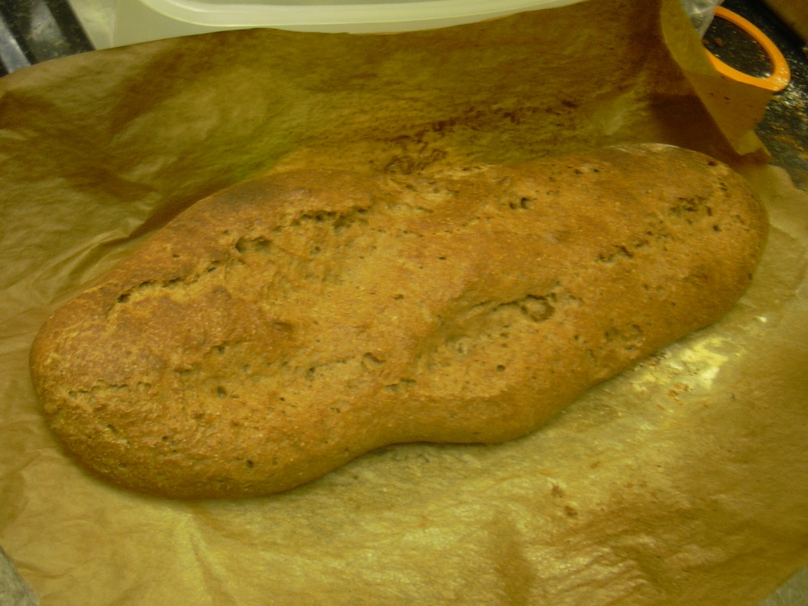 My Homemade Wholewheat Sourdough Bread Too Sour, Hard Crust