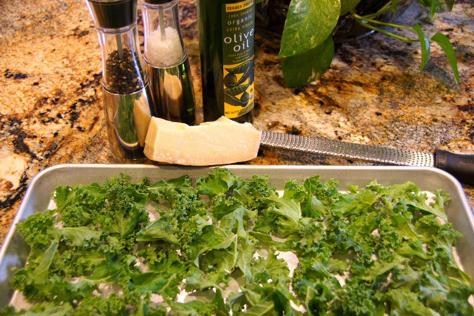 Family Food Finds Baked Parmesan Kale Chips