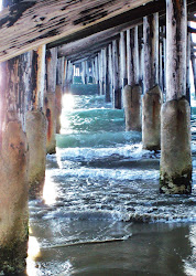 Under the boardwalk