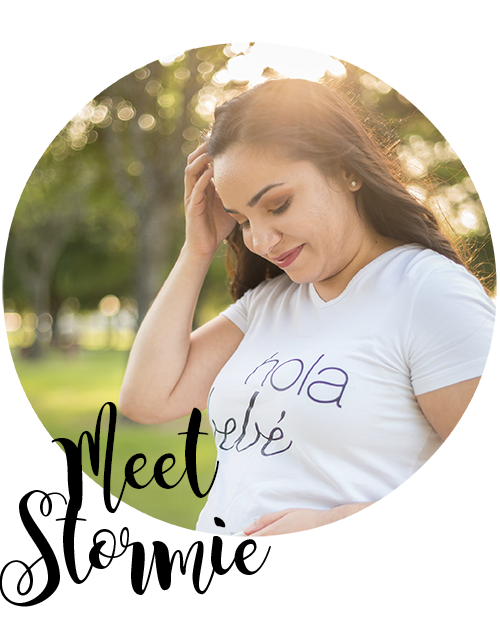 stormieariel Diaper Pail Comparison Ubbi vs Dekor Plus