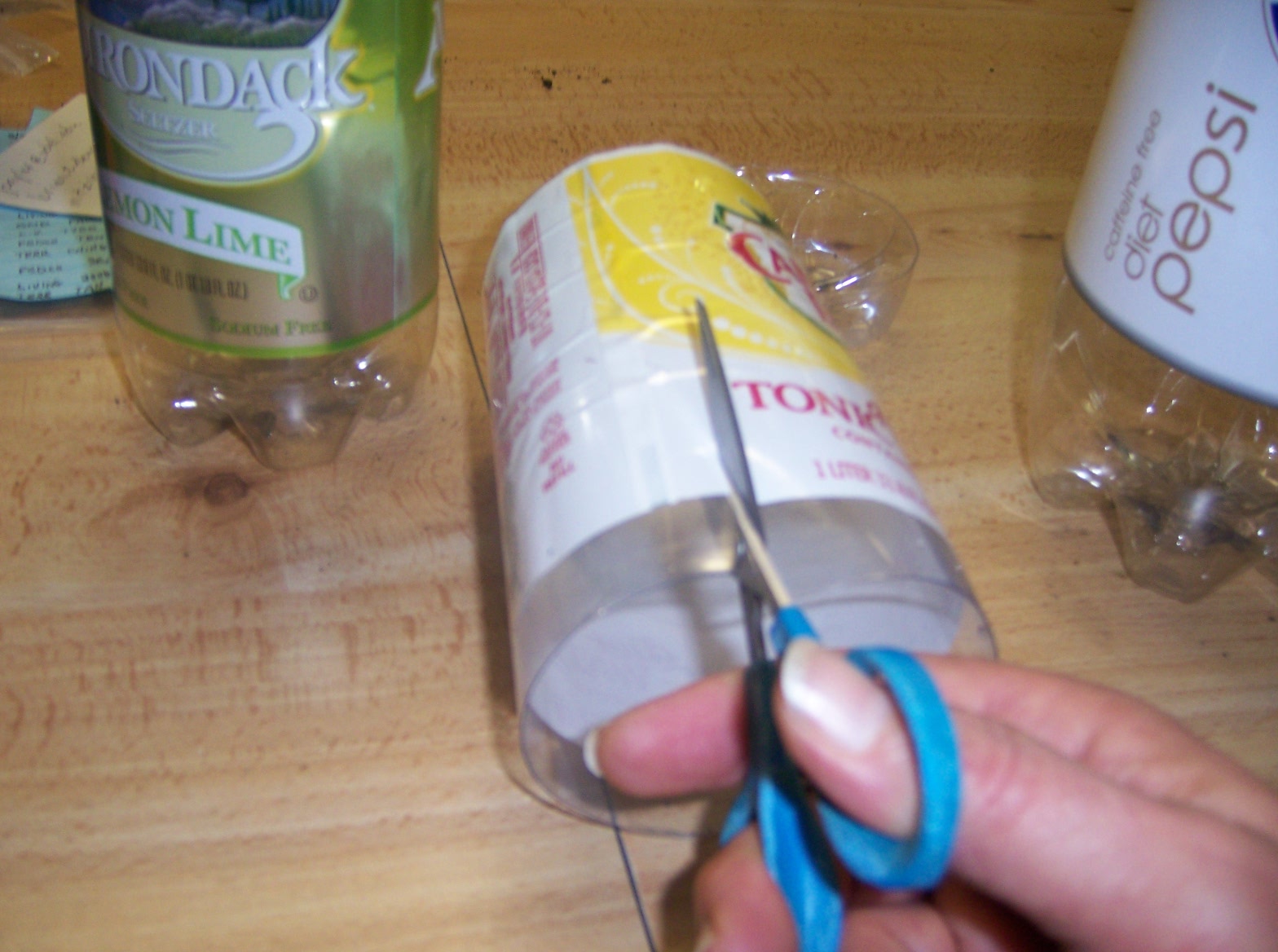 From Seed to Scrumptious Homemade Plant Labels