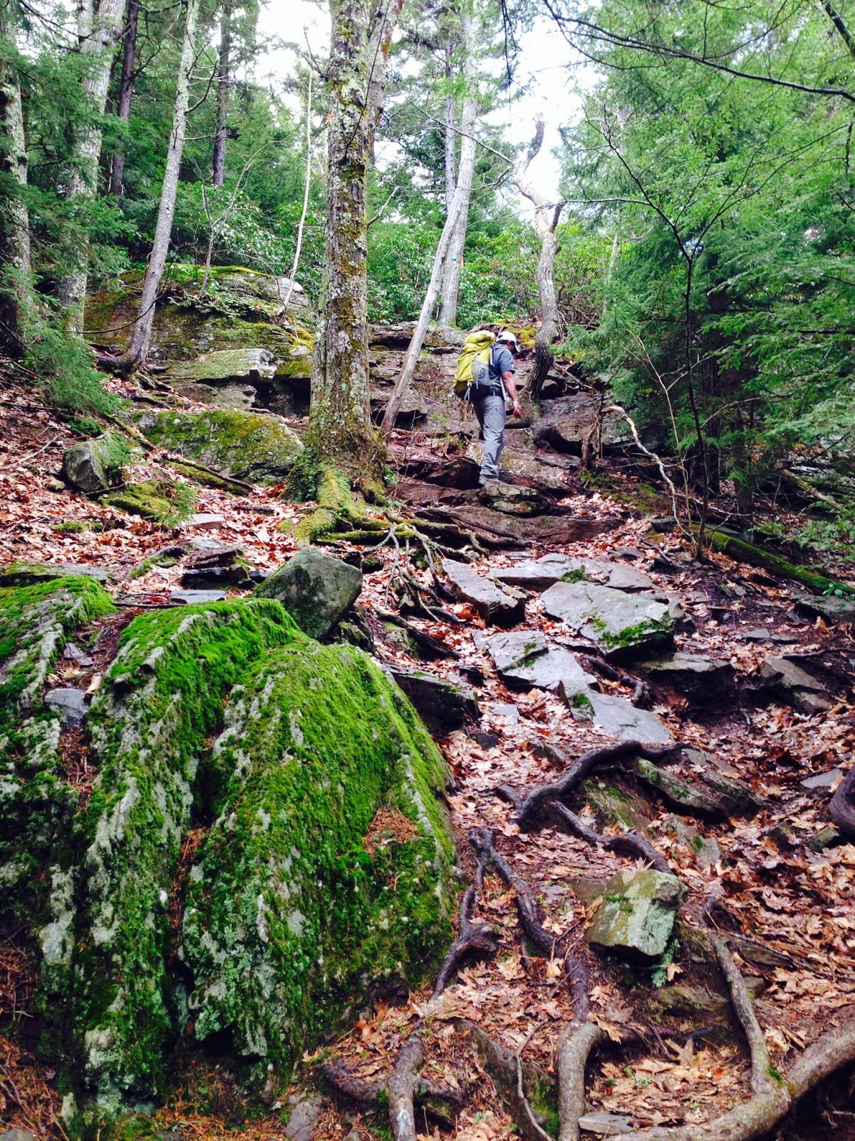 High Peaks Hiker Kilimanjaro training blog Indian Head / Twin