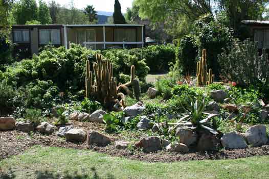 backyard landscaping ideas