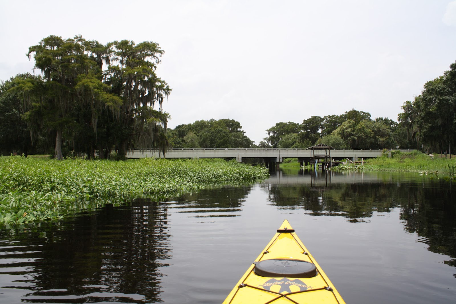 Family Outdoor Adventures Arbuckle Creek