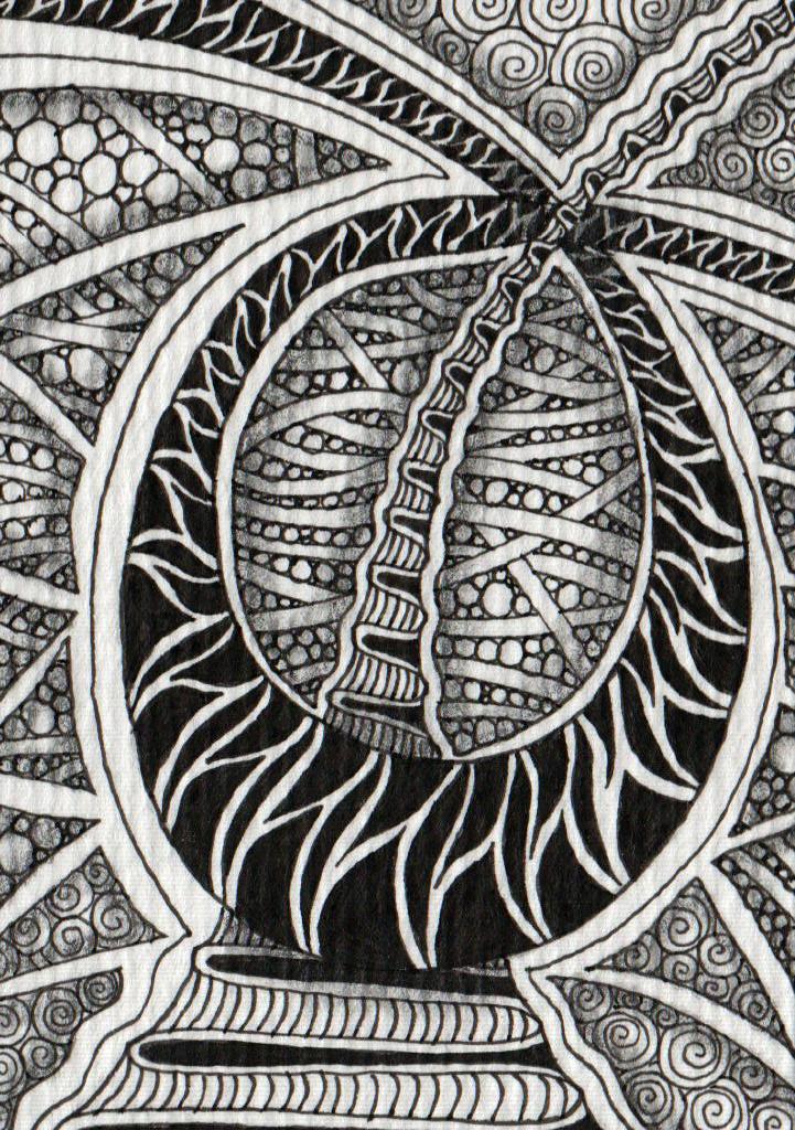 50 Best Doodling Images In 2020 Drawings Zentangle Patterns