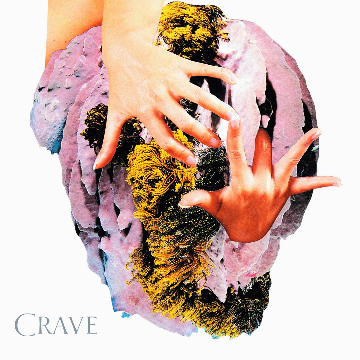 Neuf bulles dans le ciel Dear Criminals, lancement du EP Crave