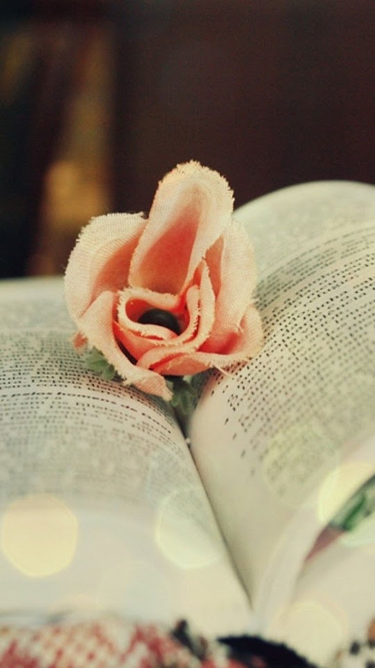 Cotton Rose On Book Android Wallpaper