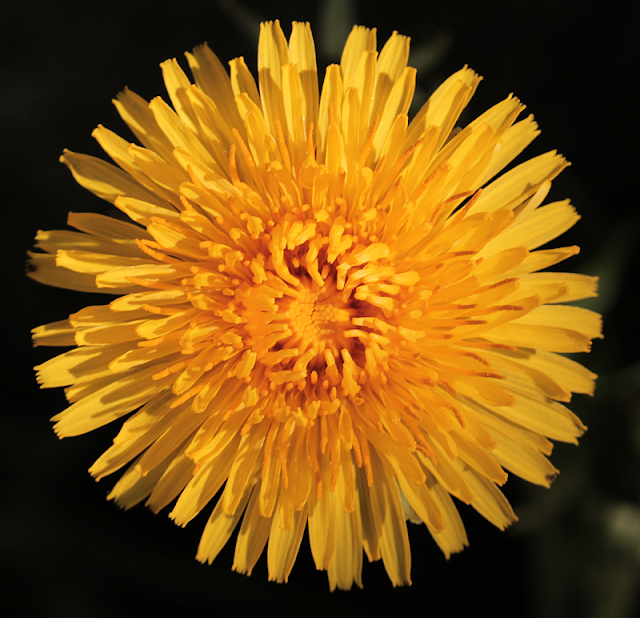 Bellemelle Der Schweizer Blog Uber Kunst Mode Und Das