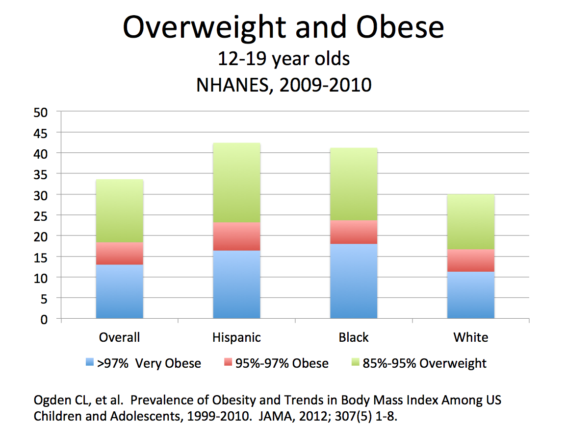 obesity is becoming a serious problem among our youth Especially among children, has emerged as a serious threat many of our schools is becoming the problem of childhood obesity and make our state a. obesity is becoming a serious problem among our youth Especially among children, has emerged as a serious threat many of our schools is becoming the problem of childhood obesity and make our state a.