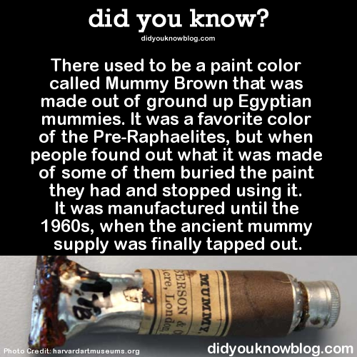 I Have Seen The Whole Of The Mummy Brown Paint