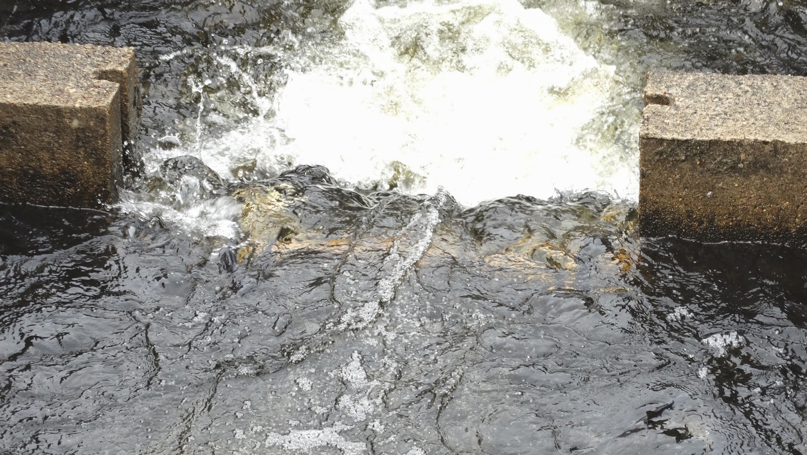 Elaine's Creative Works Middleboro's Herring Run Festival at Oliver