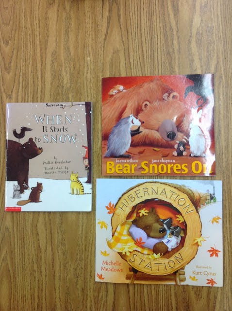 Black bear hibernation period image