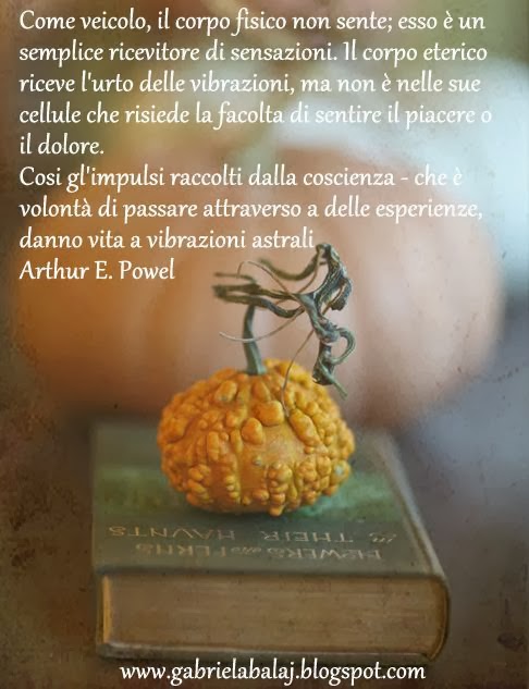 come incontrare l anima gemella