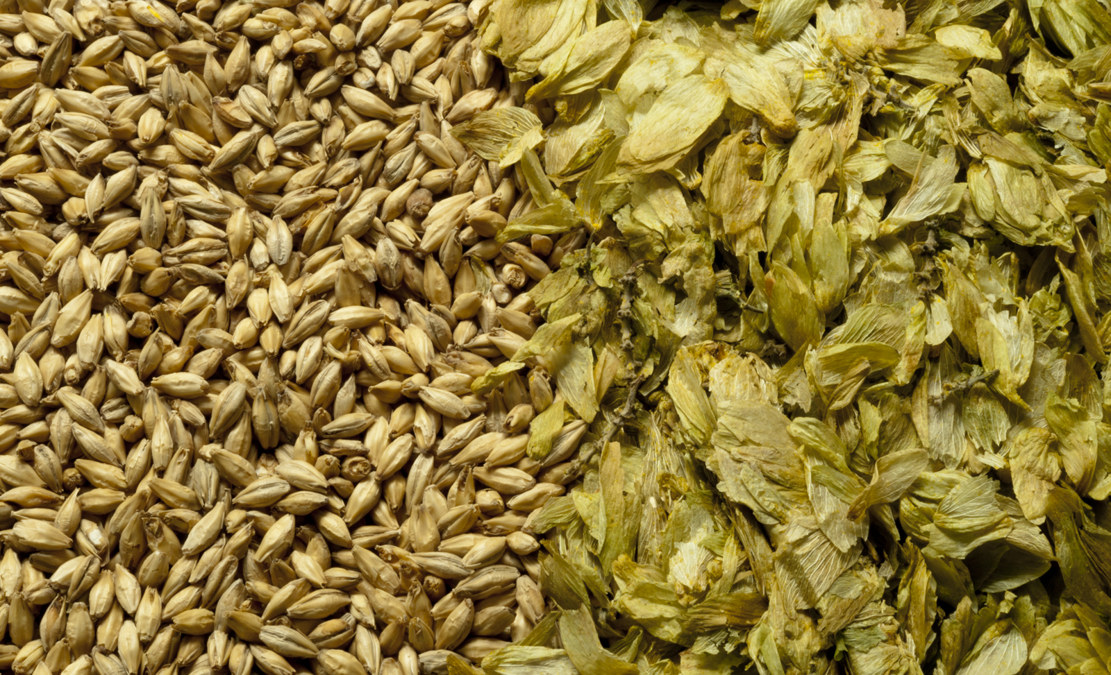 All Grains The Benefits of Switching to All Grain Brewing