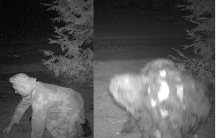 frank-siecienski-bigfoot-trail-cam.JPG