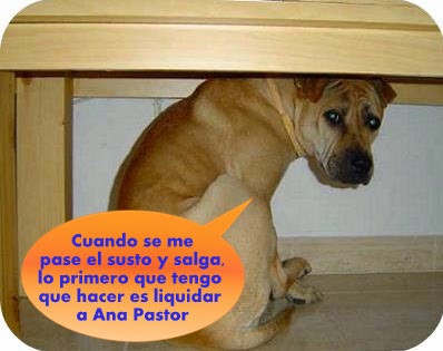 CLICK PARA AUMENTAR