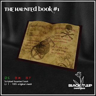 Haunted book #1