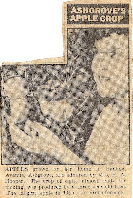 Stefan Eggeler S Etchings For Gustav Meyrink S Walpurgisnacht