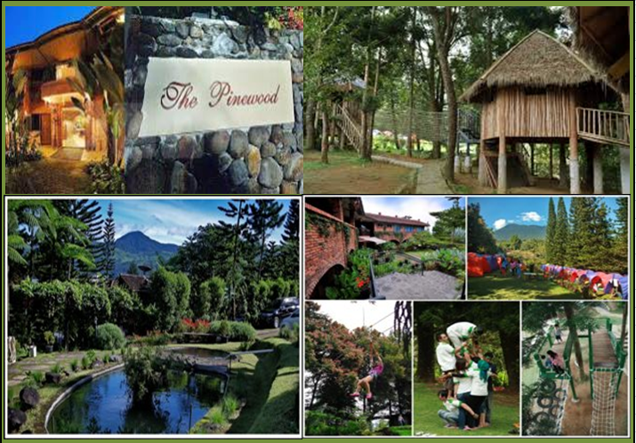 OUTBOUND DI THE PINEWOOD ~ Outbound Bogor|Tempat Outbound ...