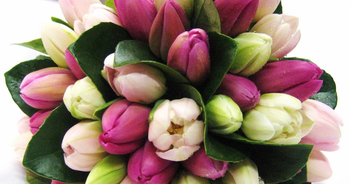 Ammie's Blog Chicago Wedding Flowers and Decorations Planners To Make