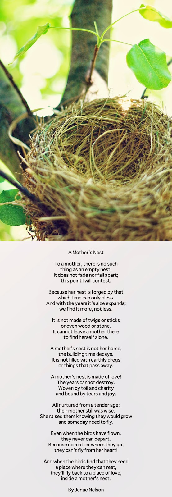 A Mother's Nest; A Poem For My Mom