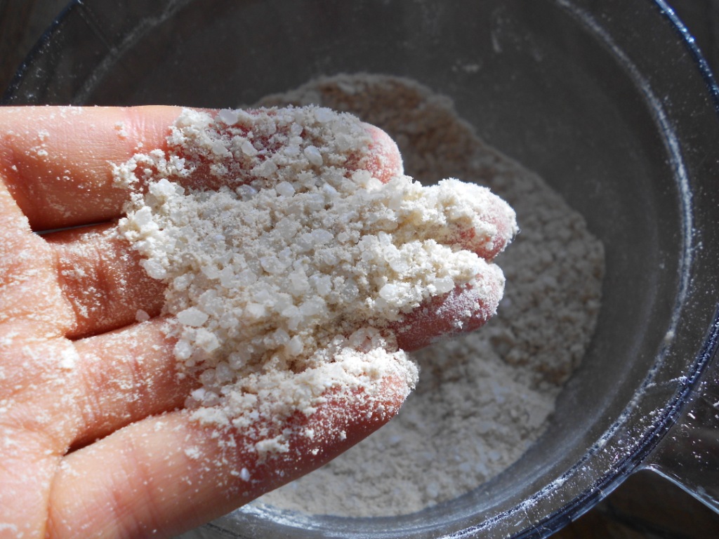 Snacking Squirrel Homemade Brown Rice Flour