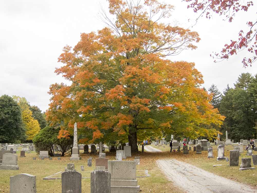 North American Cemeteries Scituate, Rhode Island, historic cemetery in