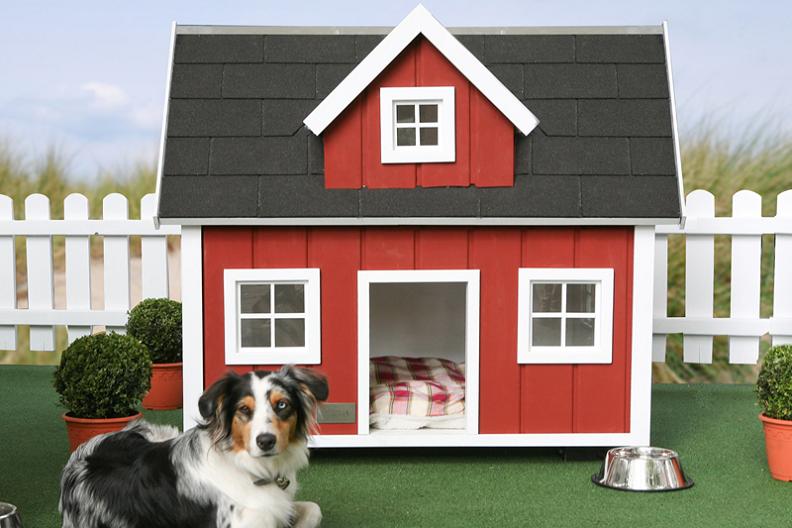 Dog Friendly Holiday Cottages Oban Scotland Dog Friendly Holiday Cottages Oban Scotland