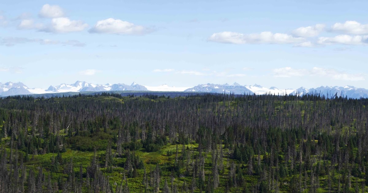 Alaska Backcountry Tours Atv Knik Side By Side Person Alaska Backcountry Tours Atv Knik Side By Side Person