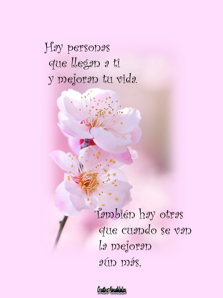 See the source image