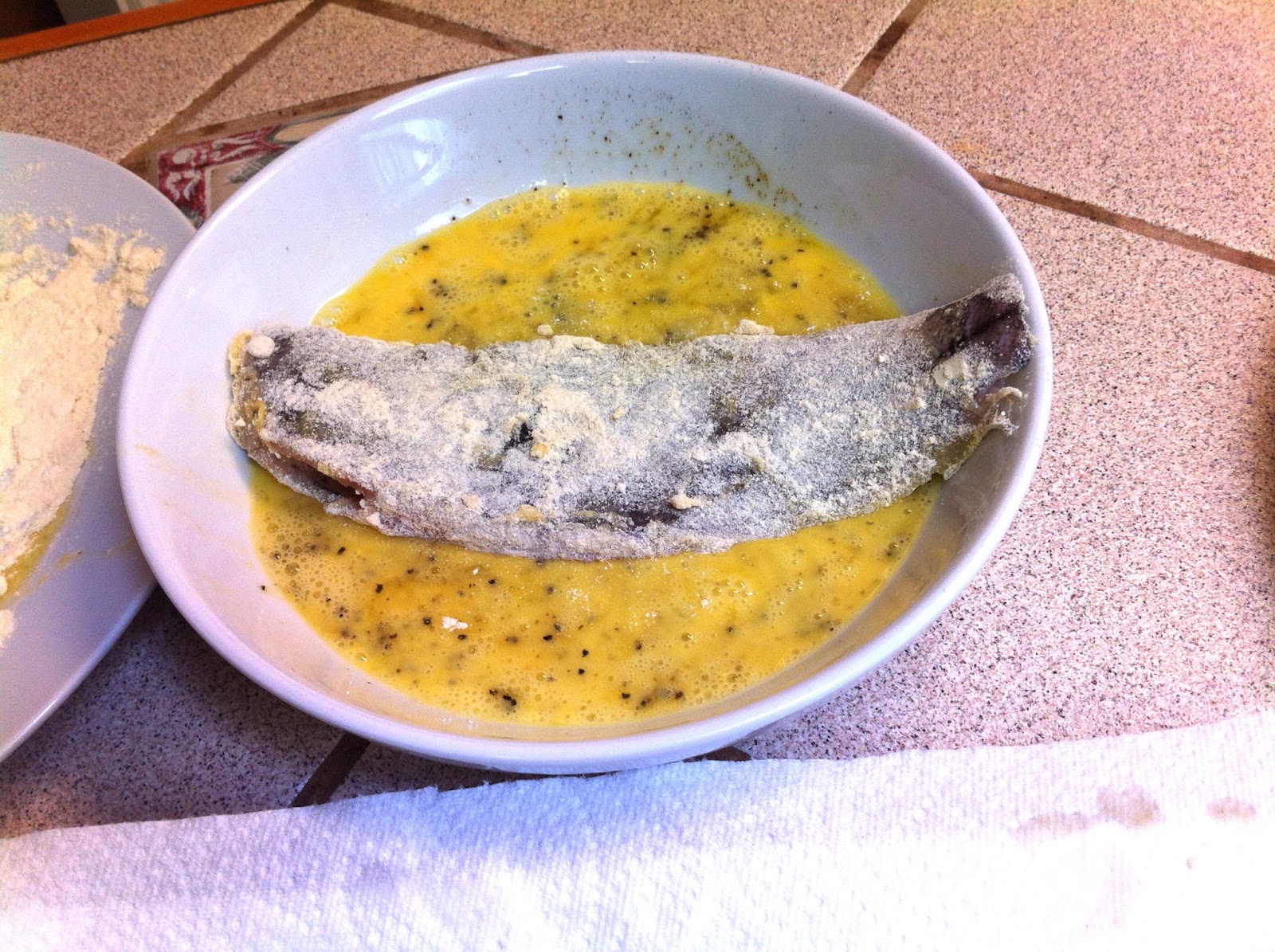 Coconut Fish Schnitzel