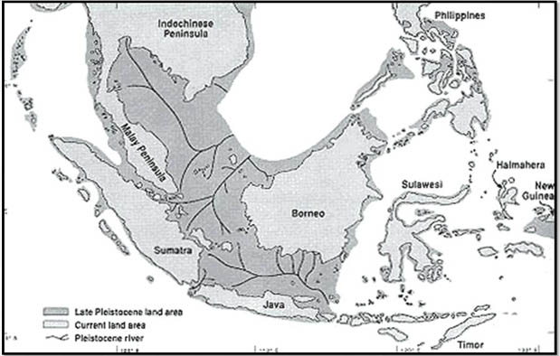 Suku dayak adalah salah satu suku asli Kalimantan yang sangat terkenal karena keunikan etn Sejarah Asal Usul Suku Dayak dan Penyebarannya di Kalimantan