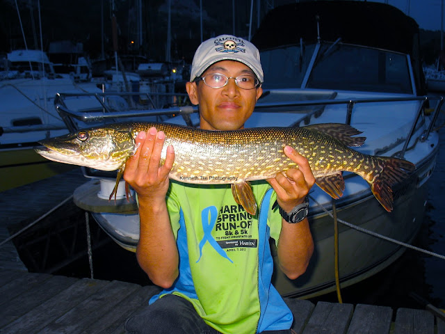 [Image: IMG_2697_post.jpg]