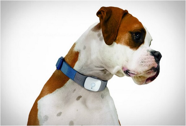 Garmin Outdoor Handheld GPS Systems, Dog.