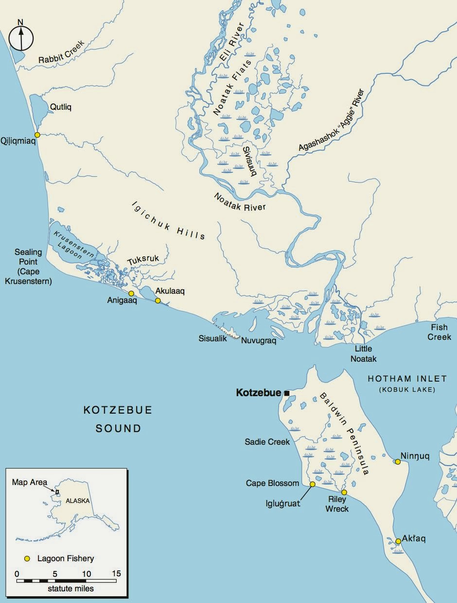she was simple in the request beach grass anchor and longitude and latitude for our sisualik camp representing us kids being anchored there in roots and she was simple in the request beach grass anchor and longitude and latitude for our sisualik camp representing us kids being anchored there in roots and