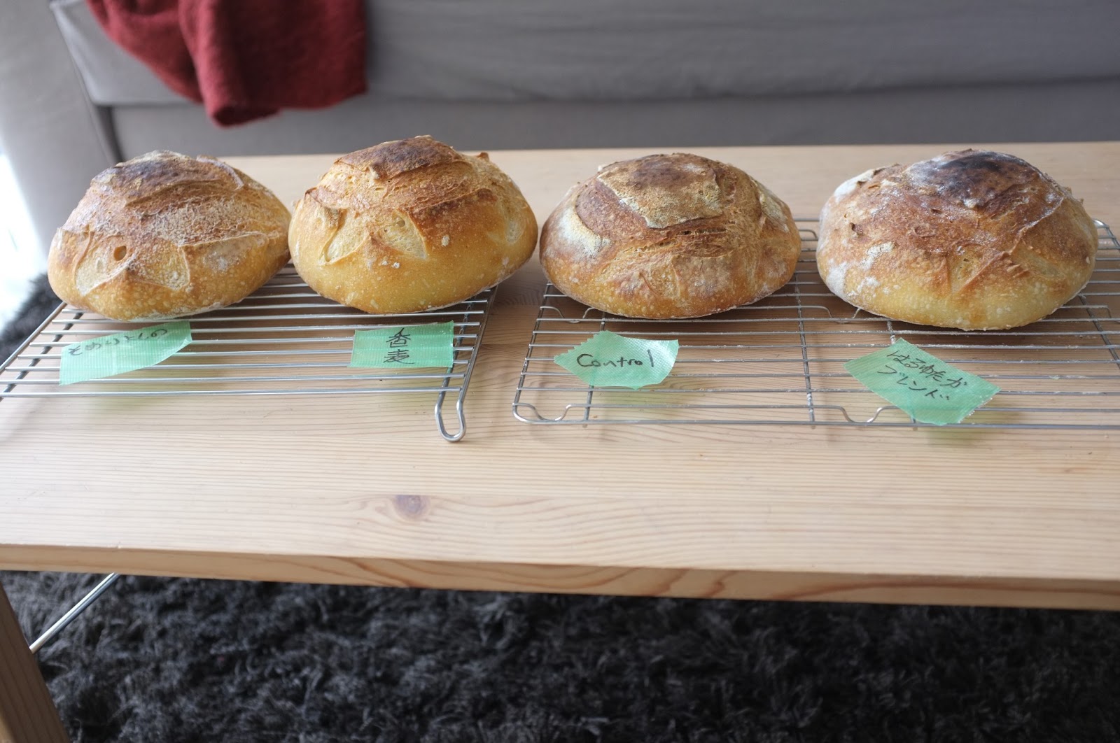 A little shop in Tokyo Japanese bread flour tests koumugi, haruyutaka and someiyoshino