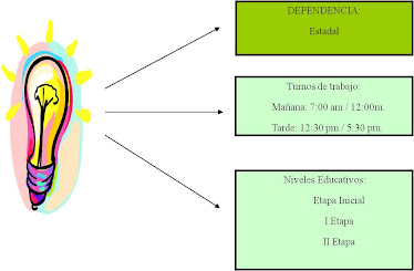 Estructura Organizacional