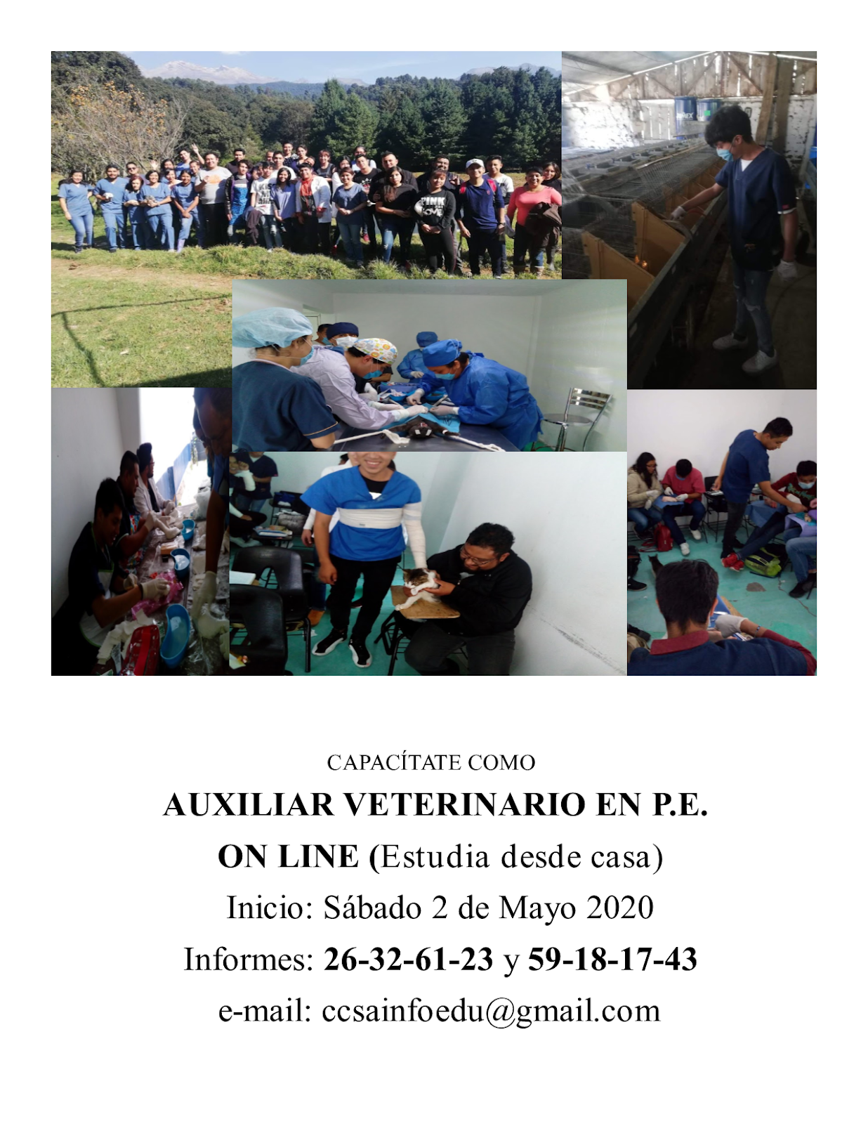 APERTURA DE CURSO EN LINEA