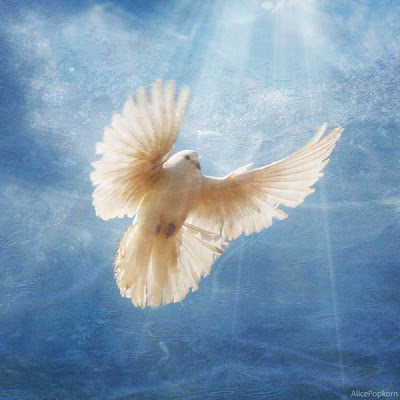 holy spirit water living fear trance whitsun brach tara reader catholic pro flickr