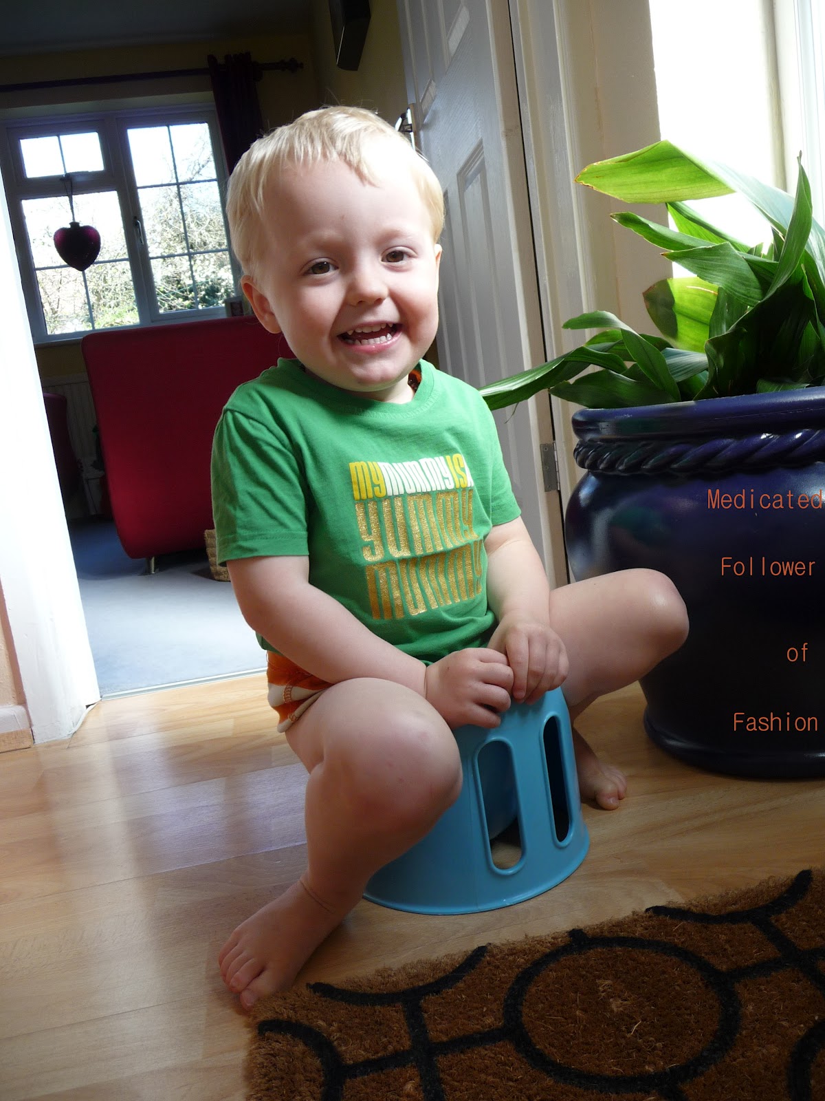 Medicated Follower of Fashion Potty training.. week 2