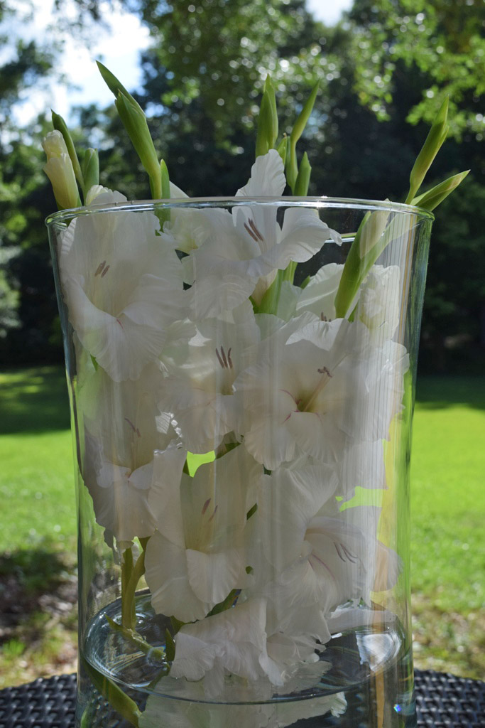 MARIETTE'S BACK TO BASICS {White Gladiolus in Cylinder Vase}