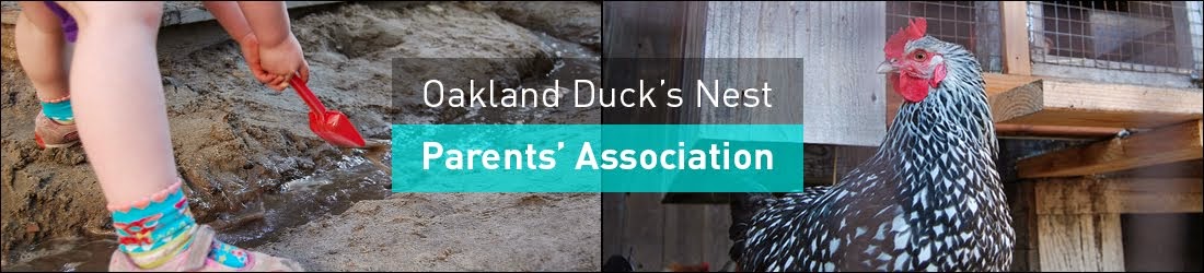 41st St Duck's Nest Parents' Association