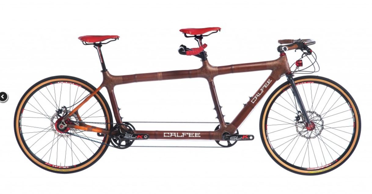 The Phytophactor Bamboo bicycle for two
