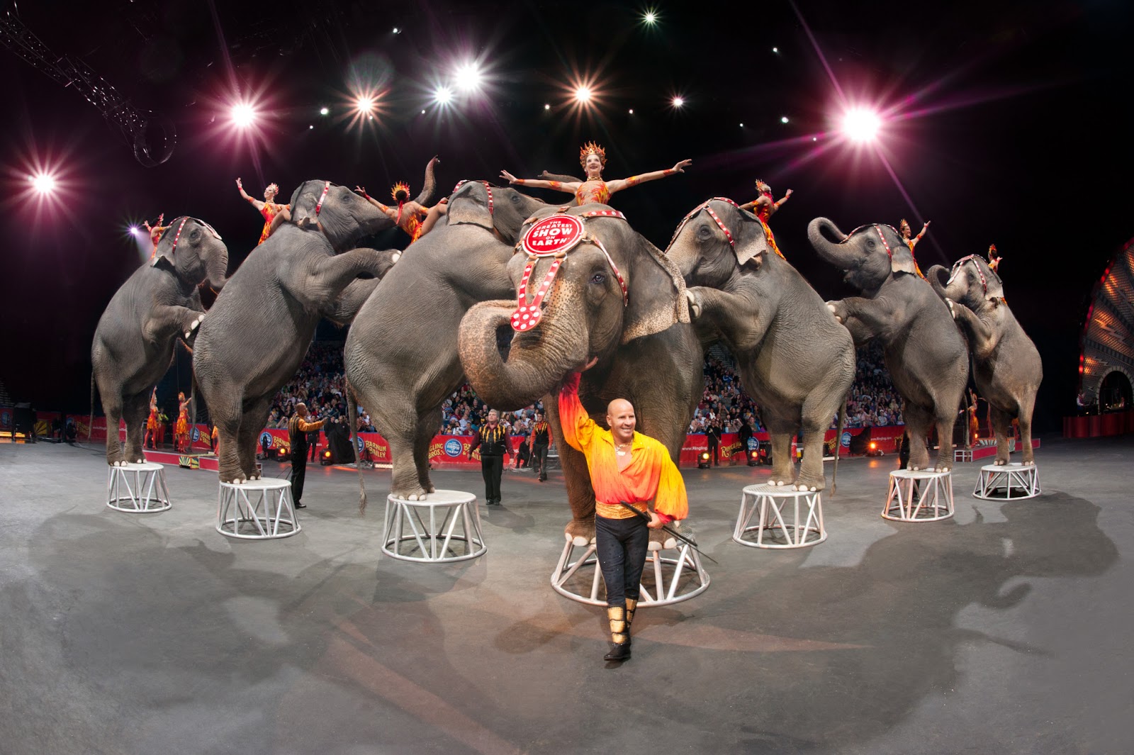 Ringling Brothers Orlando 2013 Coupons