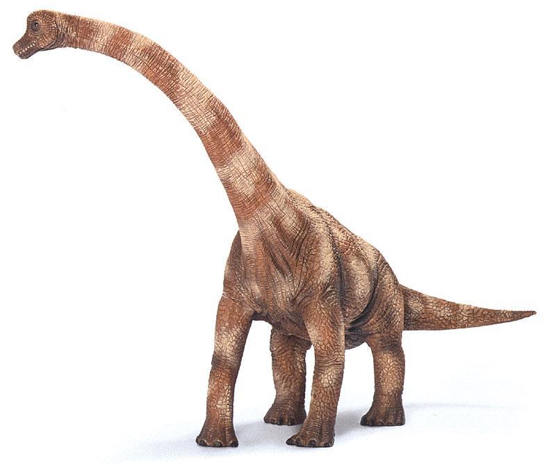 Mandíbula voraz: conheça o dinossauro predador mais antigo do