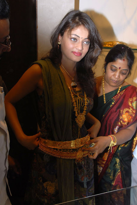 sneha ullal at kubera jewellery shop, sneha ullal new latest photos