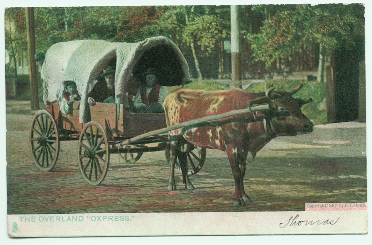 ROAD TO DESTINY THE OREGON TRAIL GRAPHIC NOVEL Some Horse Sense About